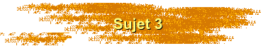Sujet 3